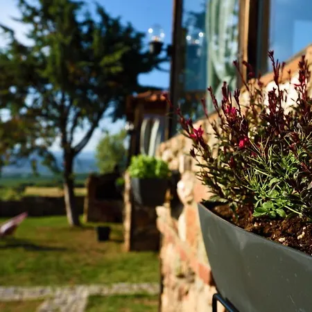 Vagones Gospodarstwo wiejskie