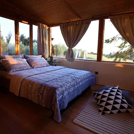 Vagones * Vatopédhion