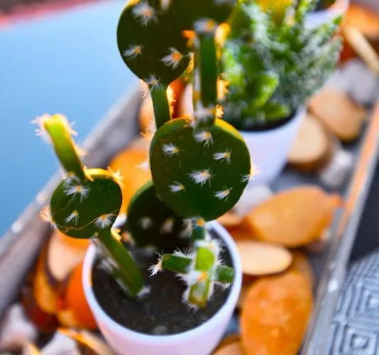 Vagones Vatopédhion